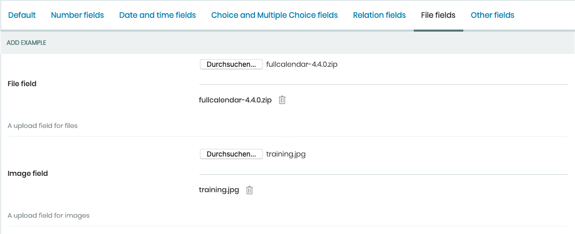 dexterity_reference_volto_file_fields