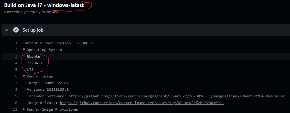 windows-latest github-action environment doesn't use Windows · Issue ...