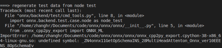 cannot build onnx from source script · Issue #4257 · onnx/onnx · GitHub