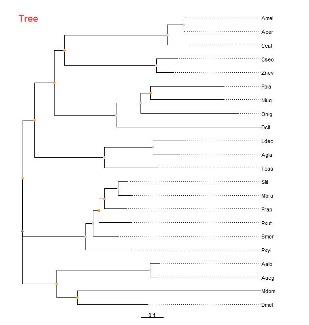 QQ截图20191118195756