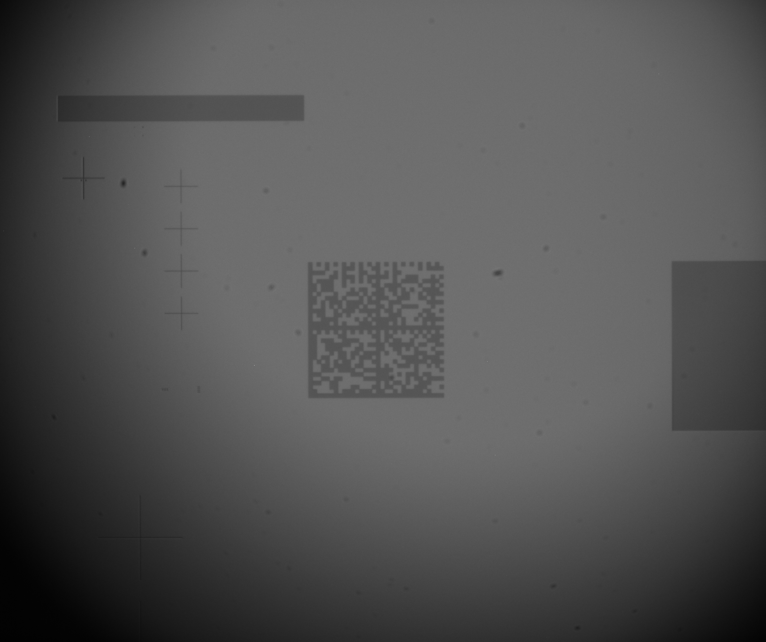 De'alm 限定CD to dot MIMIC LEZARD $_57.JPG?set_id=8800005007