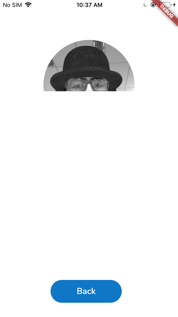 ShaderMask with ListView child · Issue #41768 · flutter/flutter · GitHub