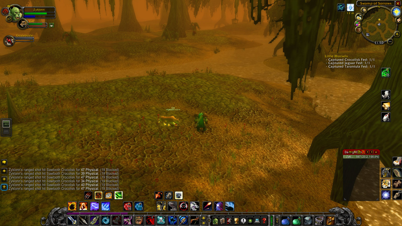 Hunter's Pet Abilities being 66 blocked every hit. · Issue 2571