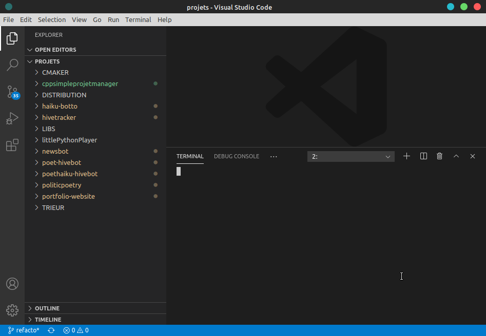 Integrated terminal doesn't show up when vscode is lauched from ...