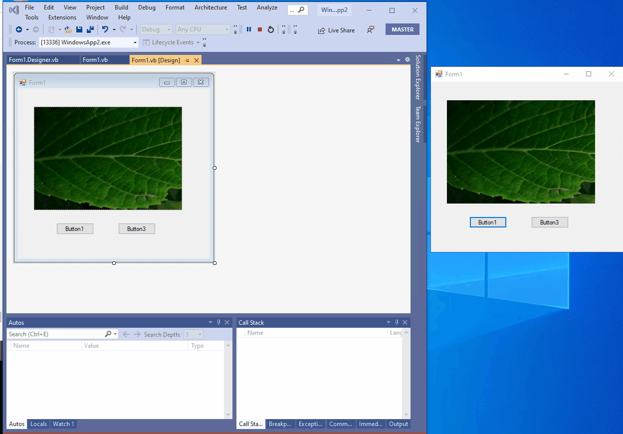 Image_display_End_Sub
