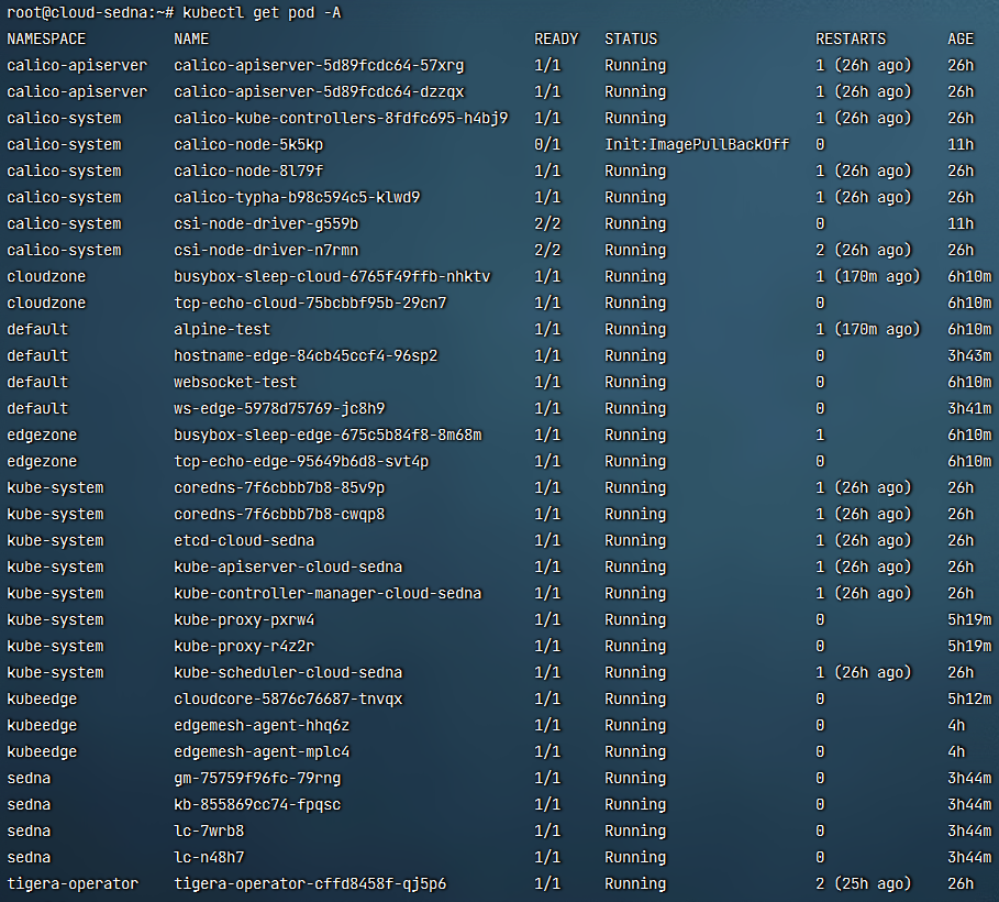 Cross-Edge-Cloud test successed but sedna Joint Inference example dns ...