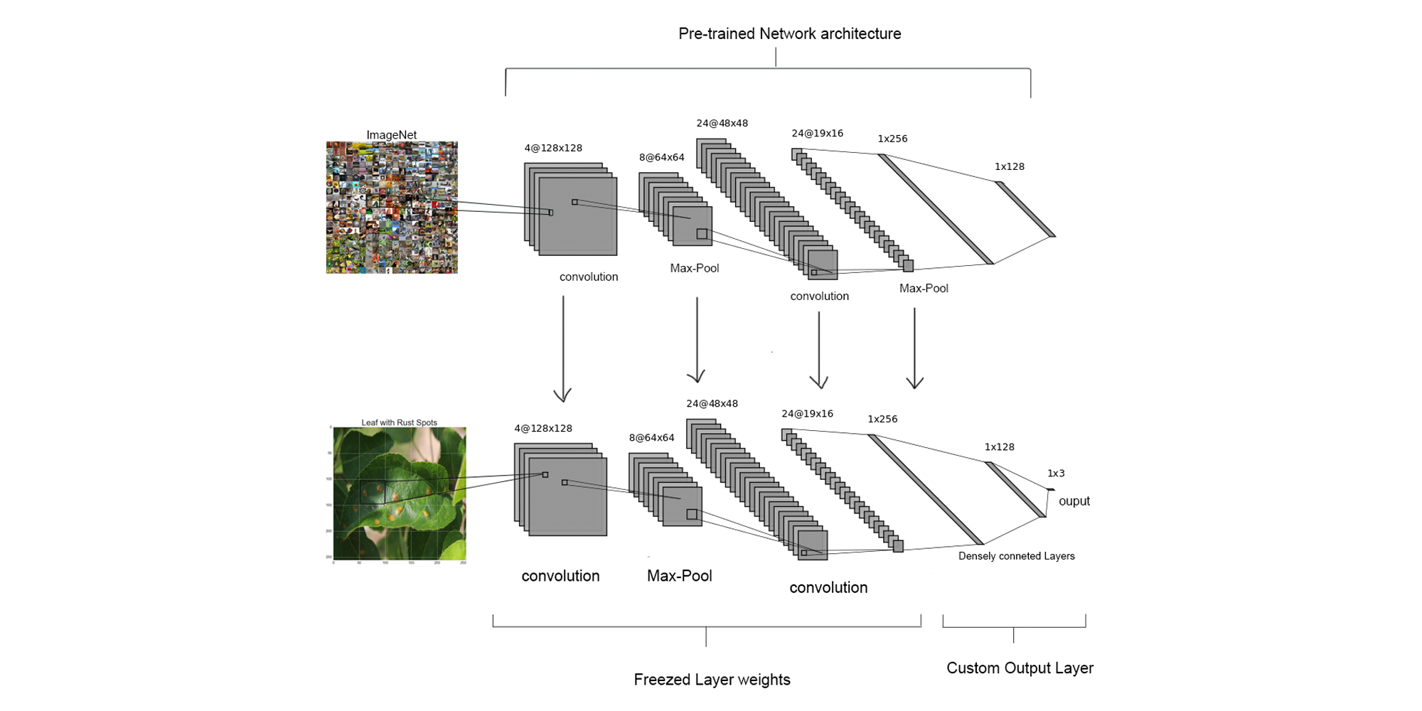 GitHub - r0han99/plant-disease-classification-tl: Transfer Learning to ...