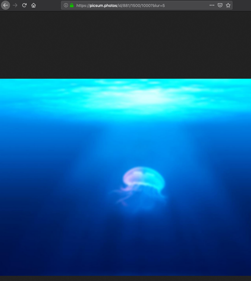 Screen Shot 2019-06-13 at 5 24 32 PM