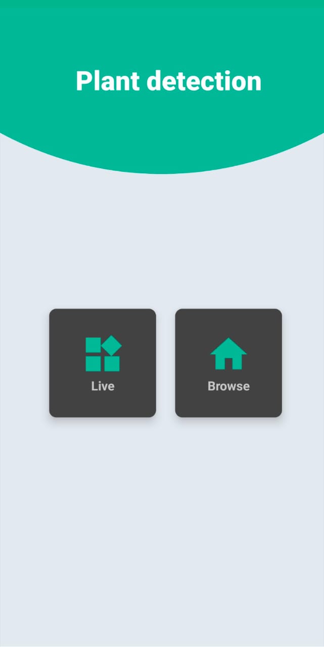 GitHub - SleepyRizi/AloePlantDetection: A multi-label classification ...