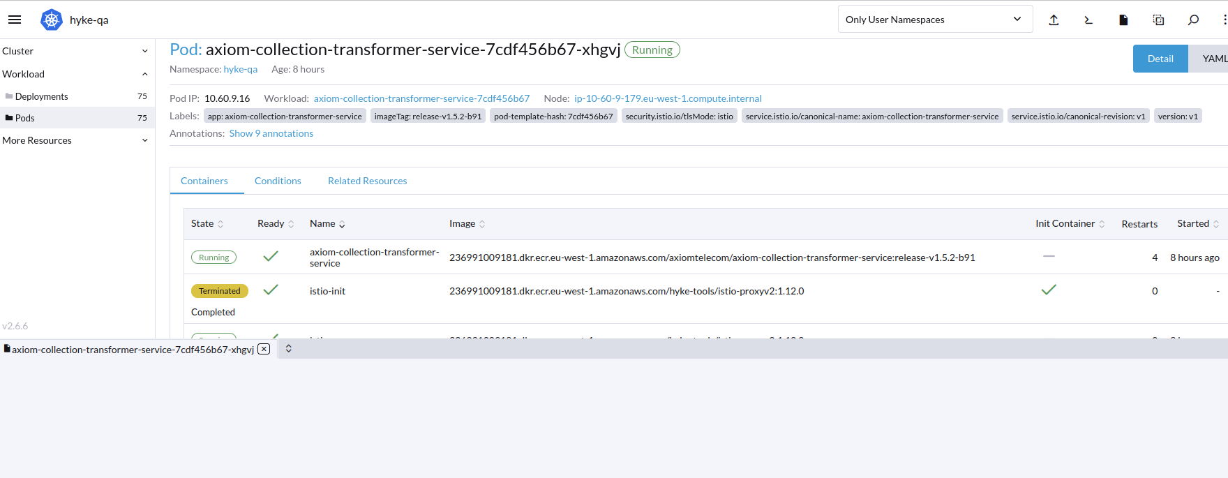 Not able to See the logs with Limited Permission to user · Issue #38395 ...