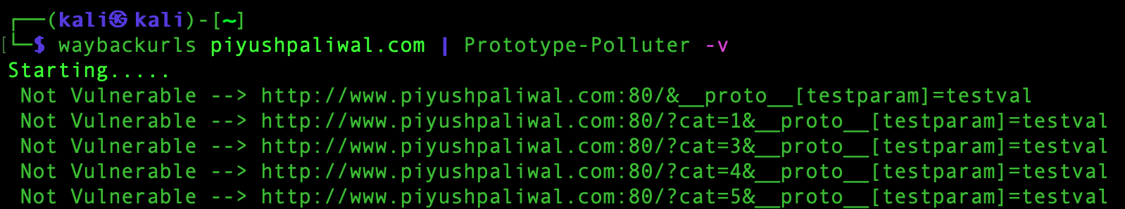 GitHub - PiyushThePal/prototype-polluter