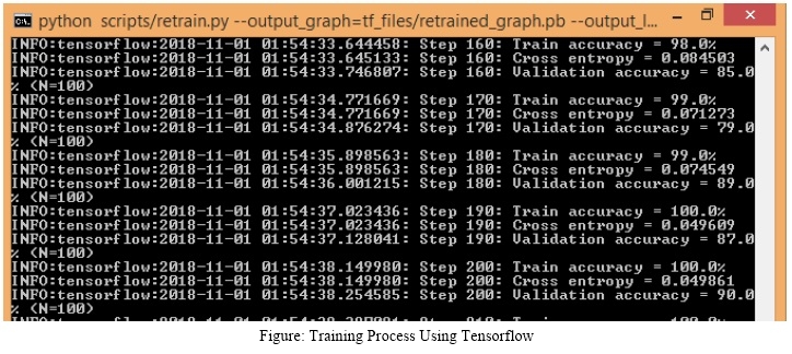 GitHub - Nayeem4910/Flower-Identification-Using-Tensorflow: The purpose ...