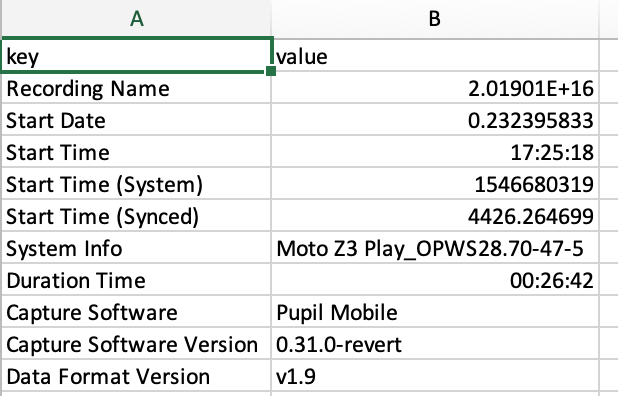 Missing World Video (no output) · Issue #1426 · pupil-labs/pupil · GitHub