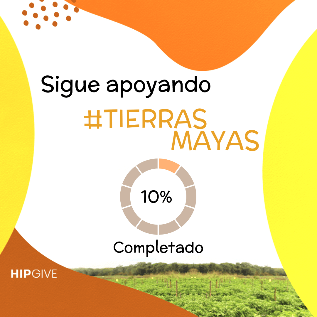 GIF exporting incorrectly · Issue 3237 · photopea/photopea · GitHub