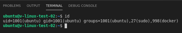 Integrated terminal behavior inconsistent with external terminal - PAM ...