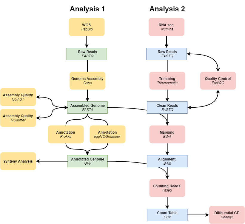 Untitled Diagram (1)