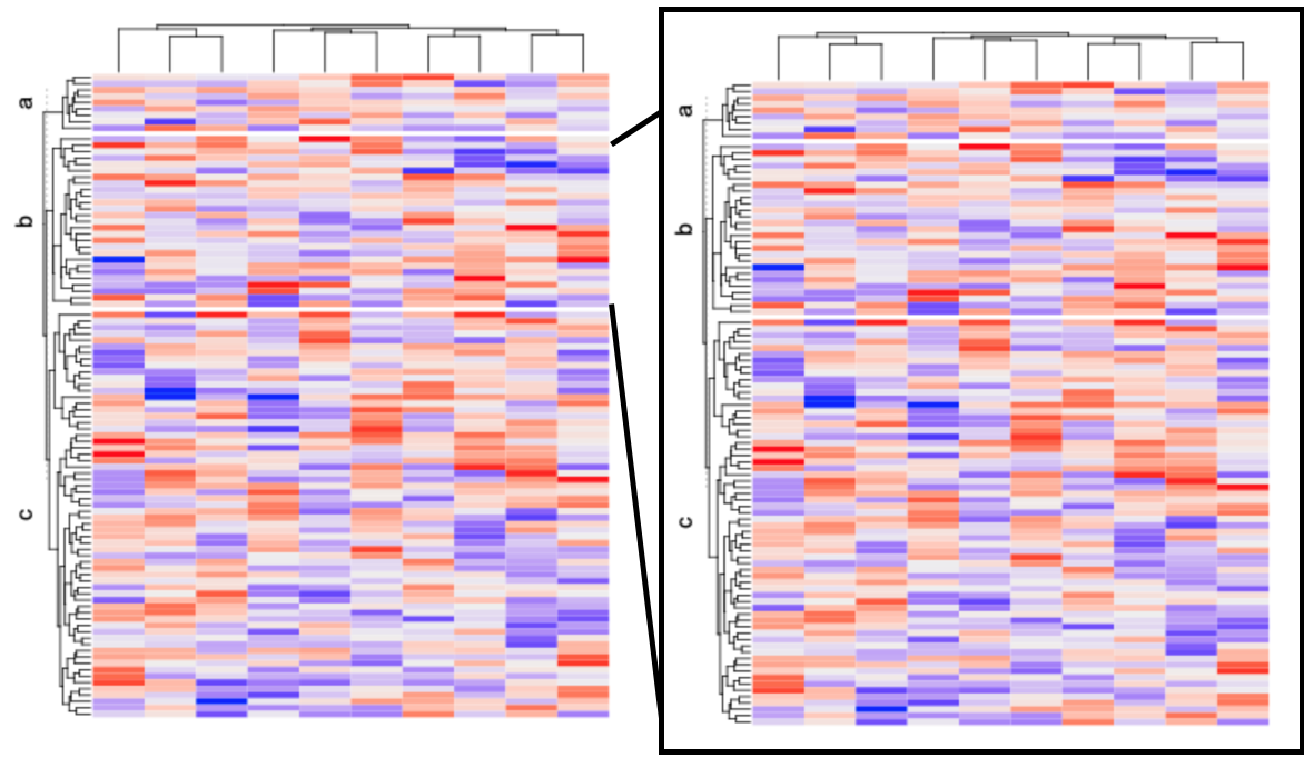 Question about annot_zoom() ? · Issue #573 · jokergoo/ComplexHeatmap ...