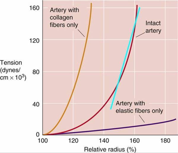 68747470733a2f2f646f63746f726c69622e696e666f2f70687973696f6c6f67792f6d65646963616c2f6d65646963616c2e66696c65732f696d6167653730352e6a7067