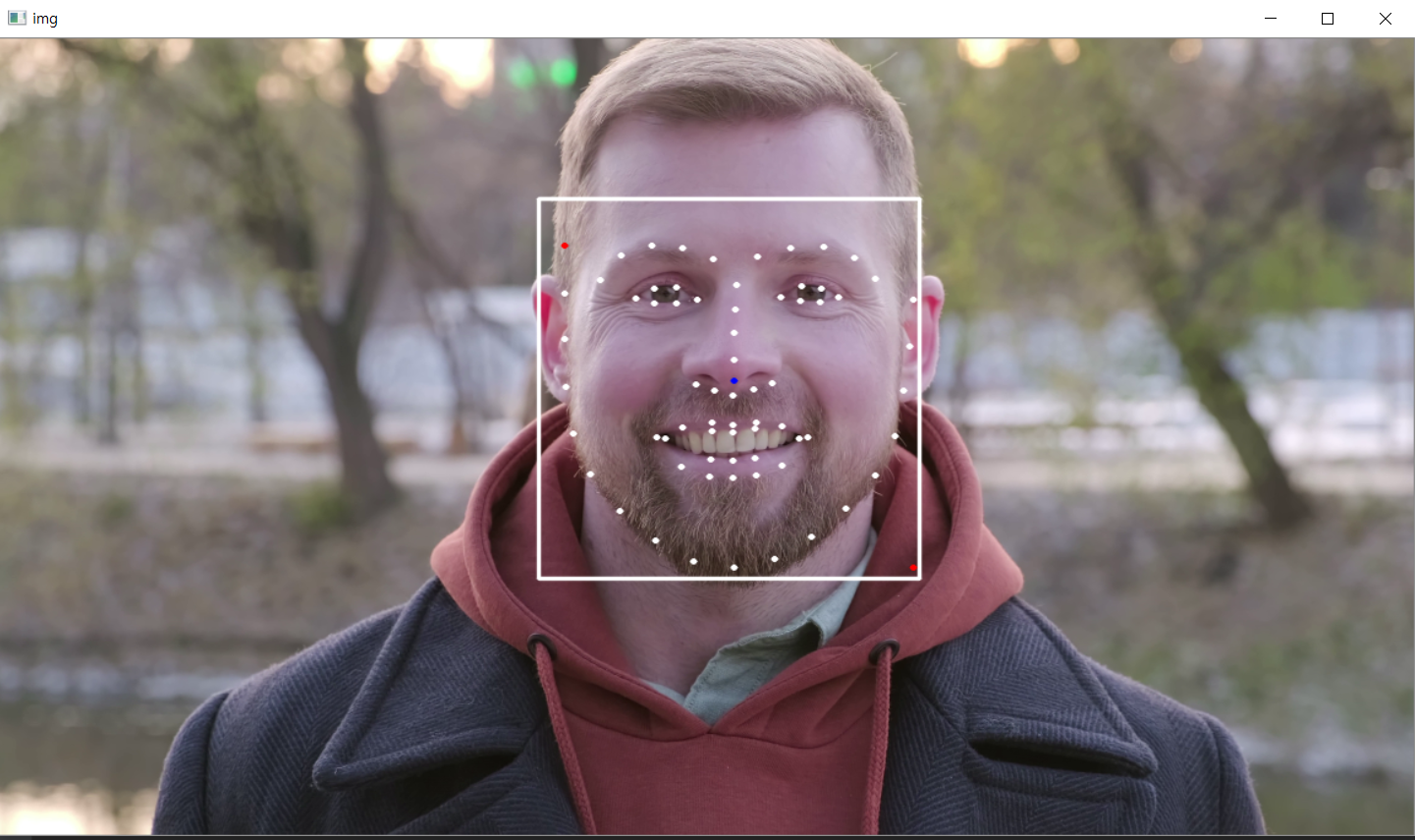 GitHub - yeonyeonKim/face_detector: Snow camera with face recognition ...