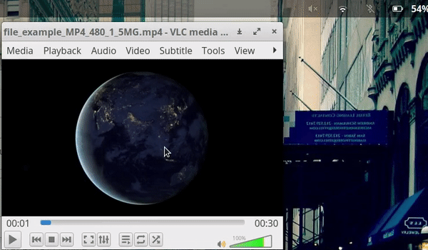 audio_bug_elementary