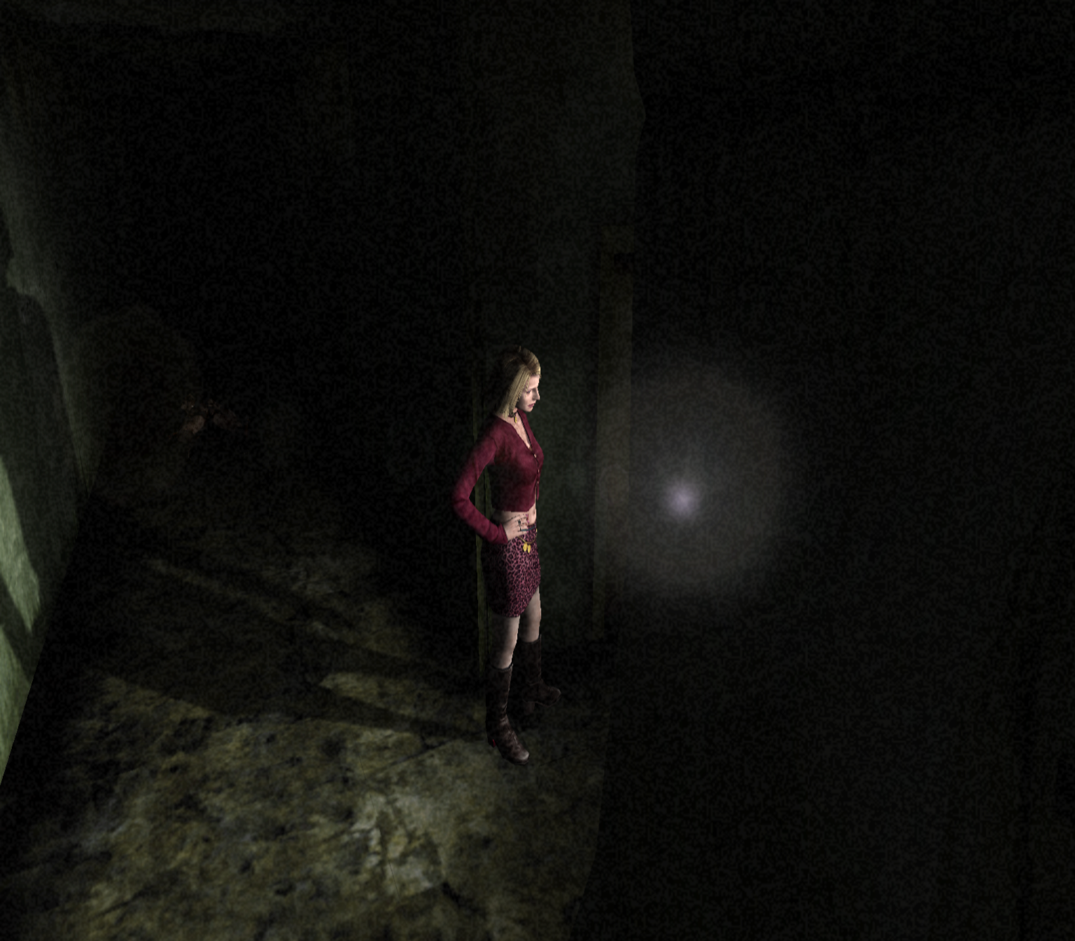 The light from the flashlight through the textures. Silent