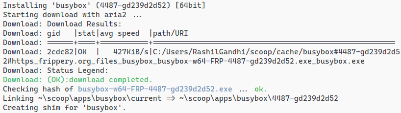 busybox@4487-gd239d2d52: download via aria2 failed · Issue #3137 ...