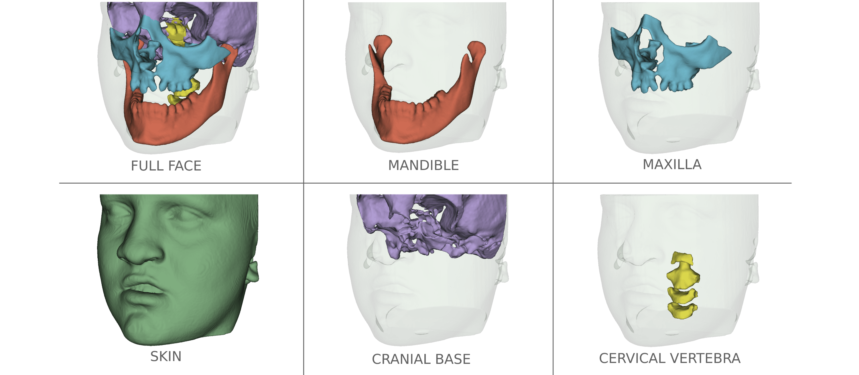 Segmentation