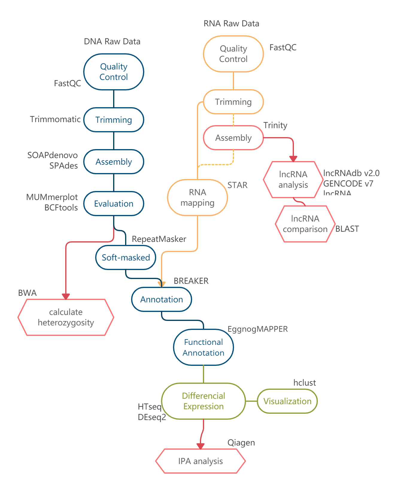 Genome Analysis