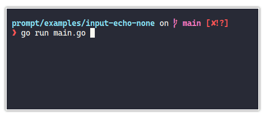 screenshot-input-echo-none