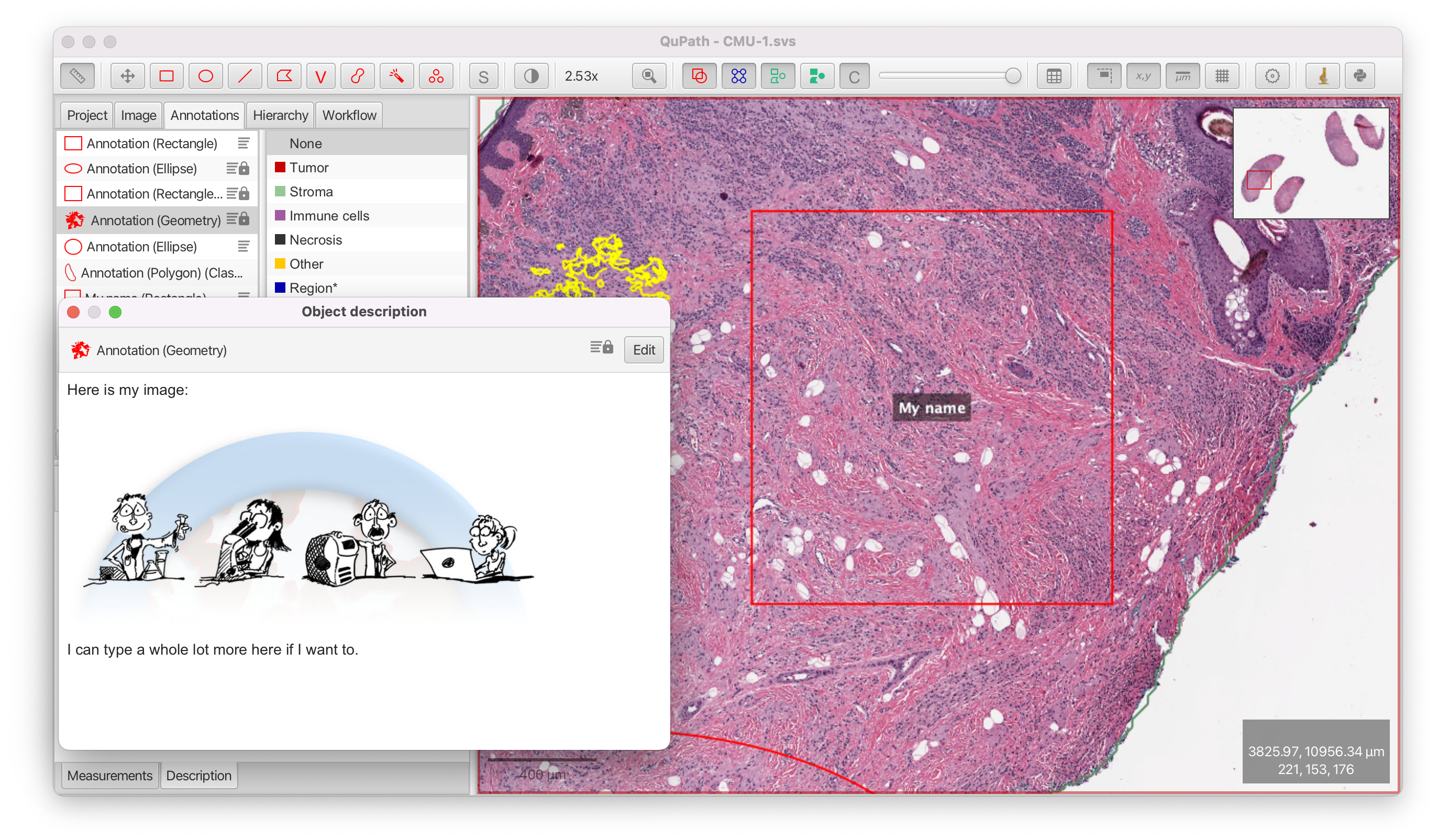 Add text/markdown to objects · Issue #1005 · qupath/qupath · GitHub