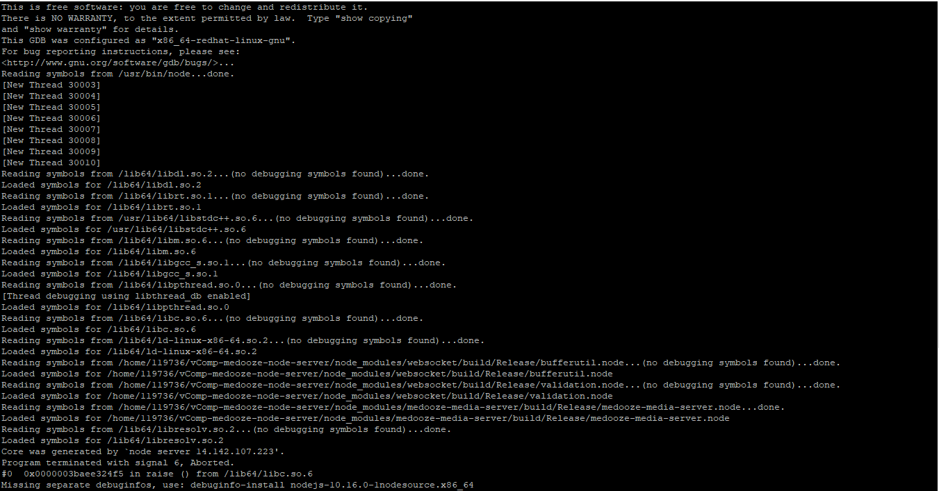 glibc detected *** node free() invalid pointer error · Issue 95
