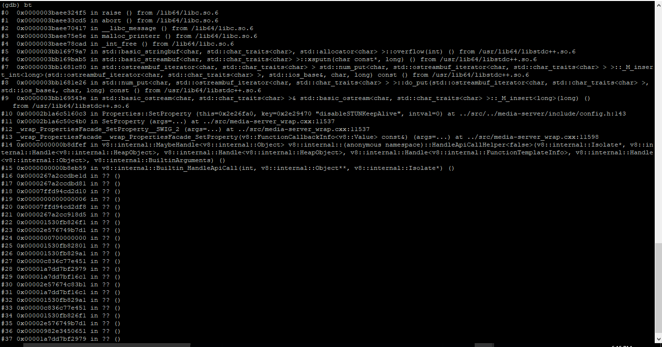 glibc detected *** node free() invalid pointer error · Issue 95