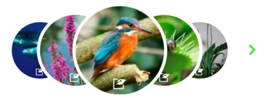 Screenshot 2019-12-12 at 07 24 41