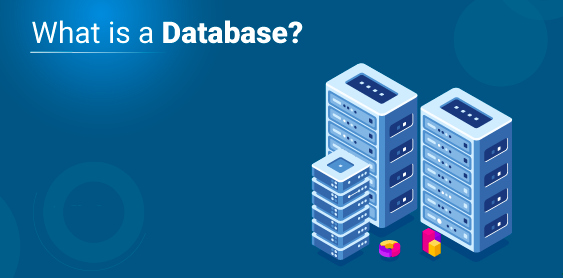 Screen Shot 2020-08-03 at 5 23 14 PM