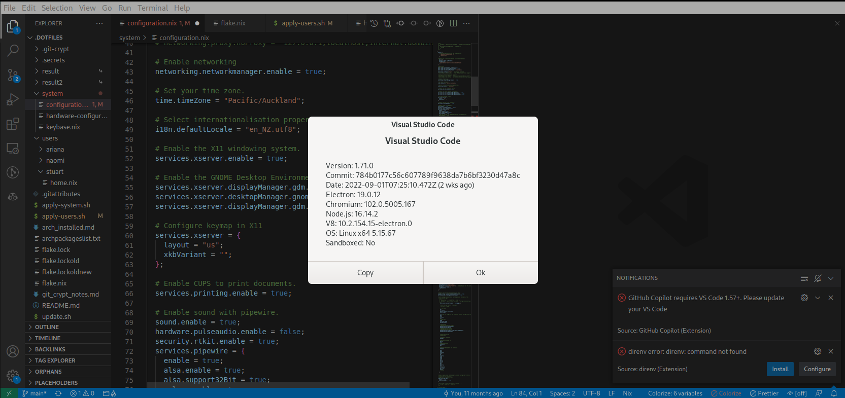 Github Copilot VS Code extension is not working with NixOS install of ...