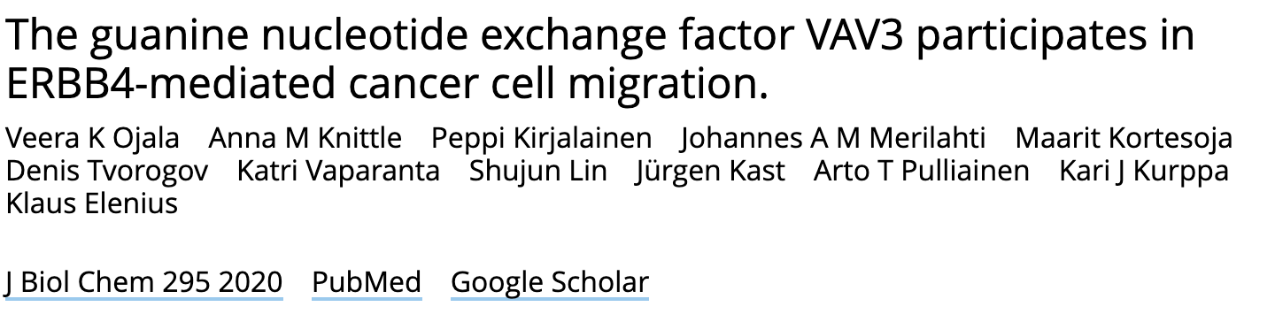 Screenshot_2020-12-07 The guanine nucleotide exchange factor VAV3 participates in ERBB4-mediated cancer cell migration