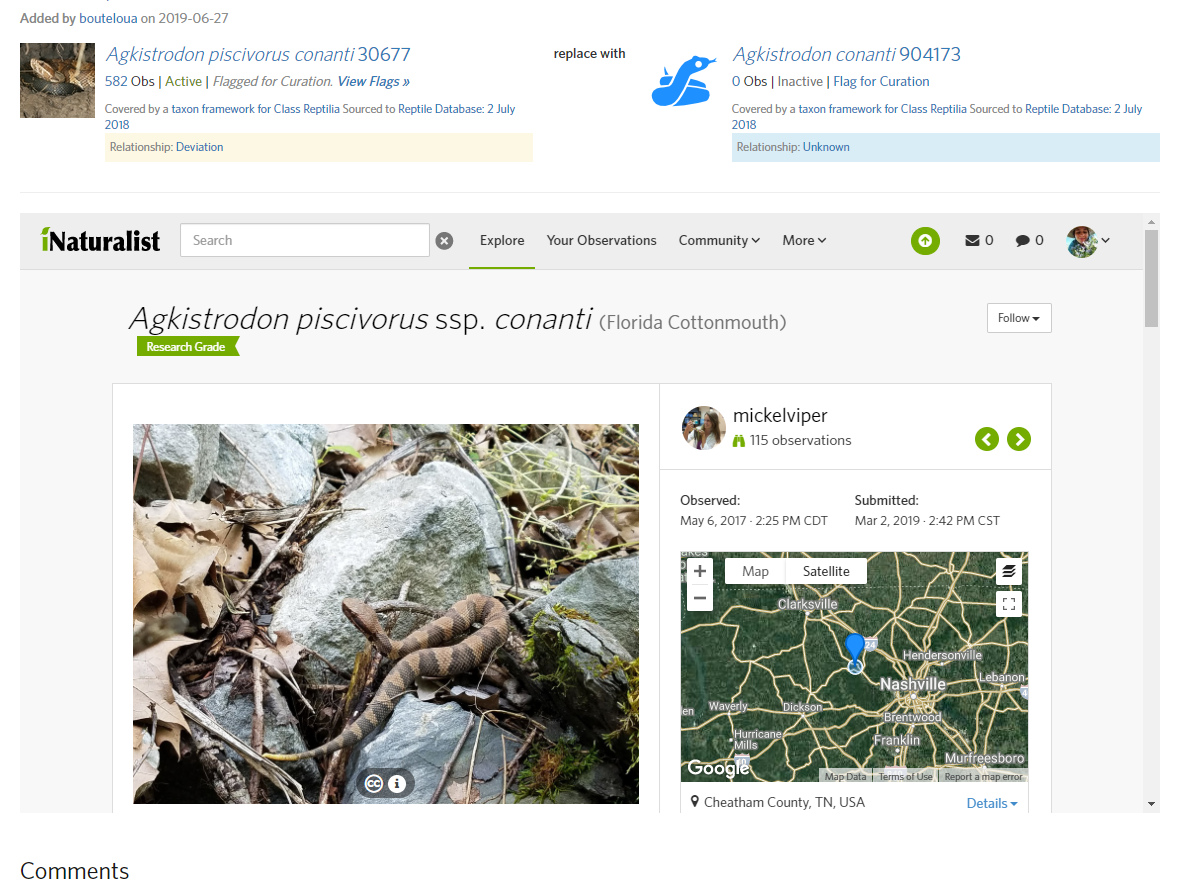 Taxon change page: observations open within iframe of map · Issue #2329 ...