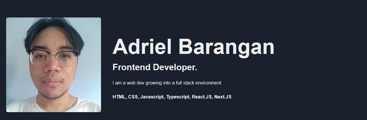 GitHub - barangana/baradriel.dev: My portfolio website built with NextJS.