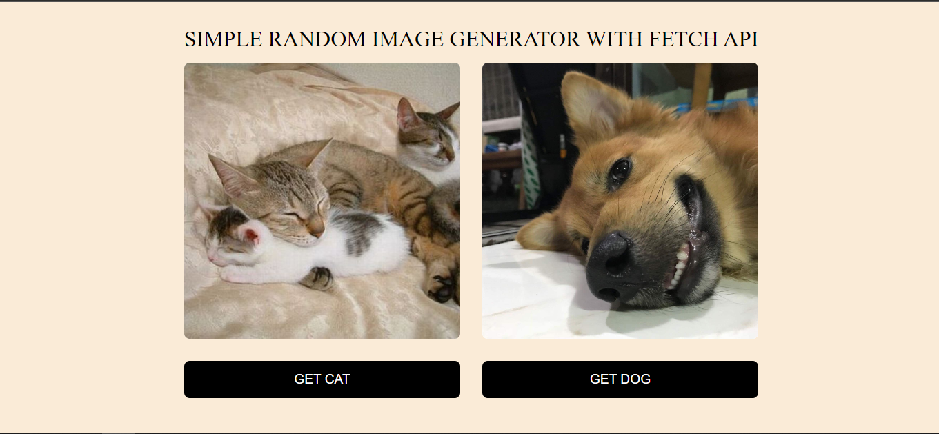 random image generator using api in javascript ||... GitHub - Shayboniyshoh/fetch-api-random-image-generator · GitHub