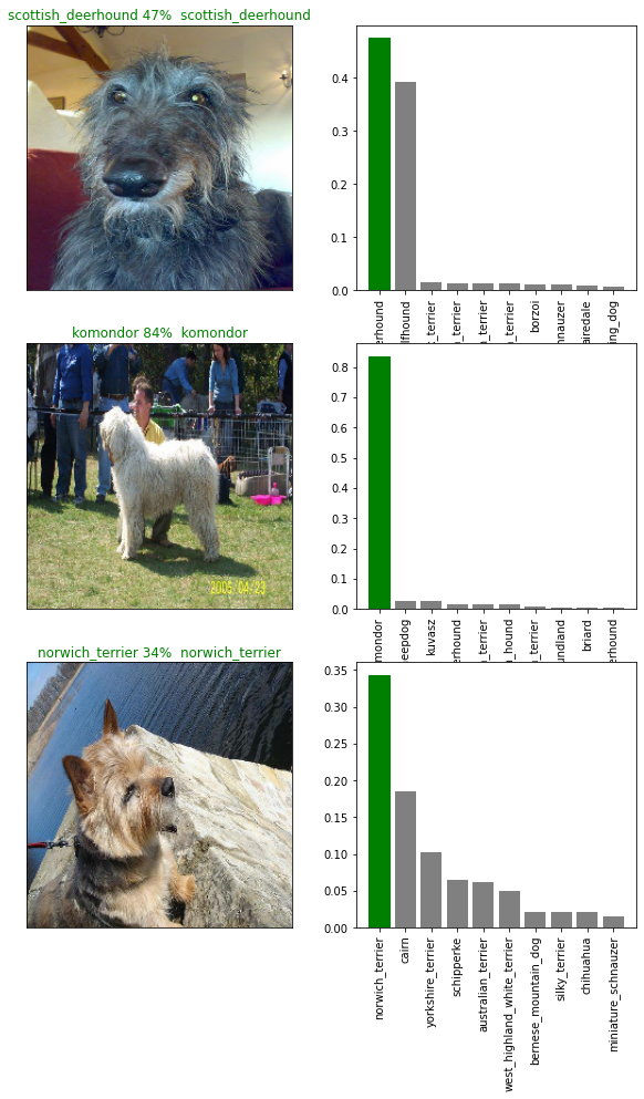 GitHub - sobhanshukueian/Dog_Breed_Detection: Dog Breed Detection ...