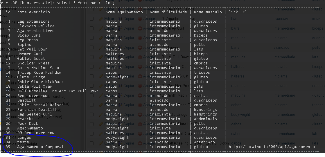 Data missing in phpmyadmin but in mysql command line returns it · Issue ...