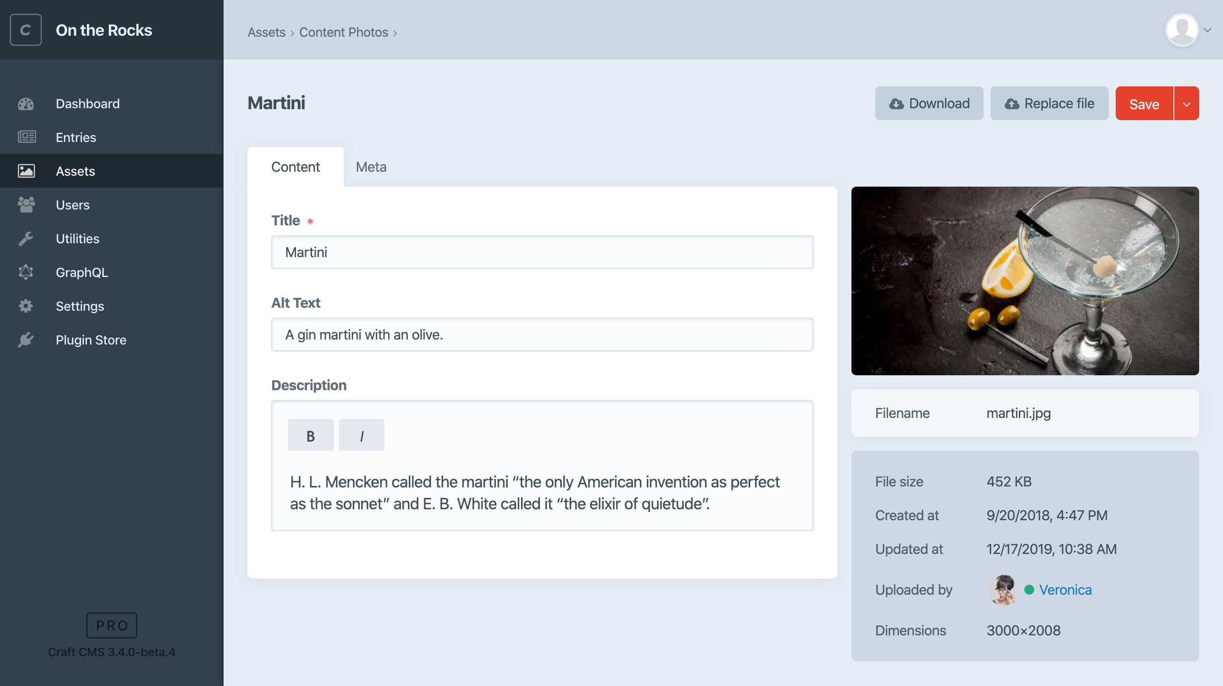 An Edit Asset page