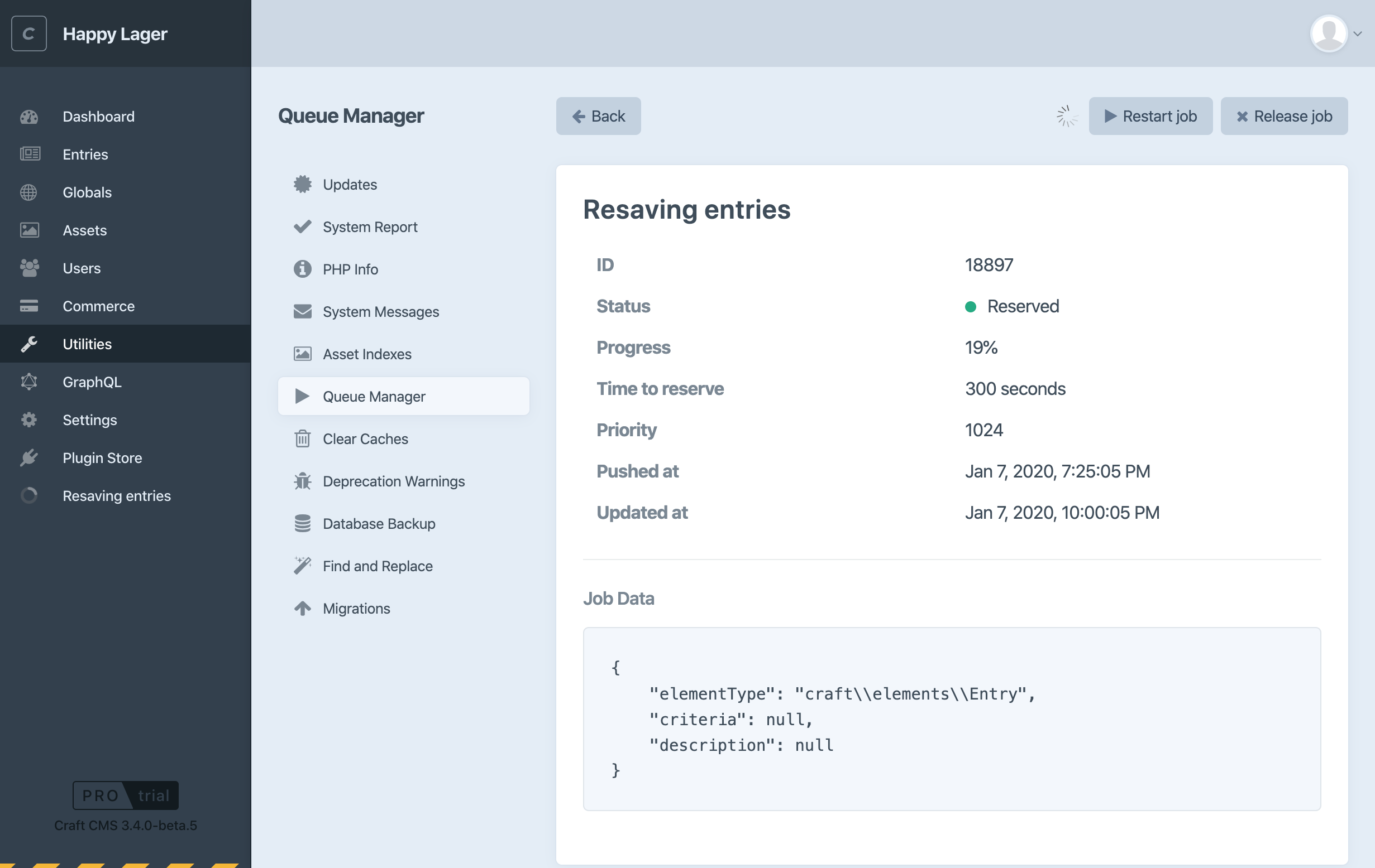 A job’s details view within the Queue Manager utility in Craft 3.4
