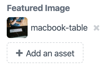 An Assets field with an image selected, with a non-rounded icon