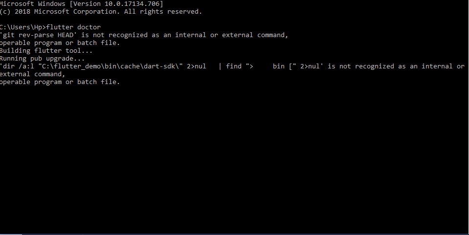 Flutter crashes while creating new app on creating process 2 · Issue ...