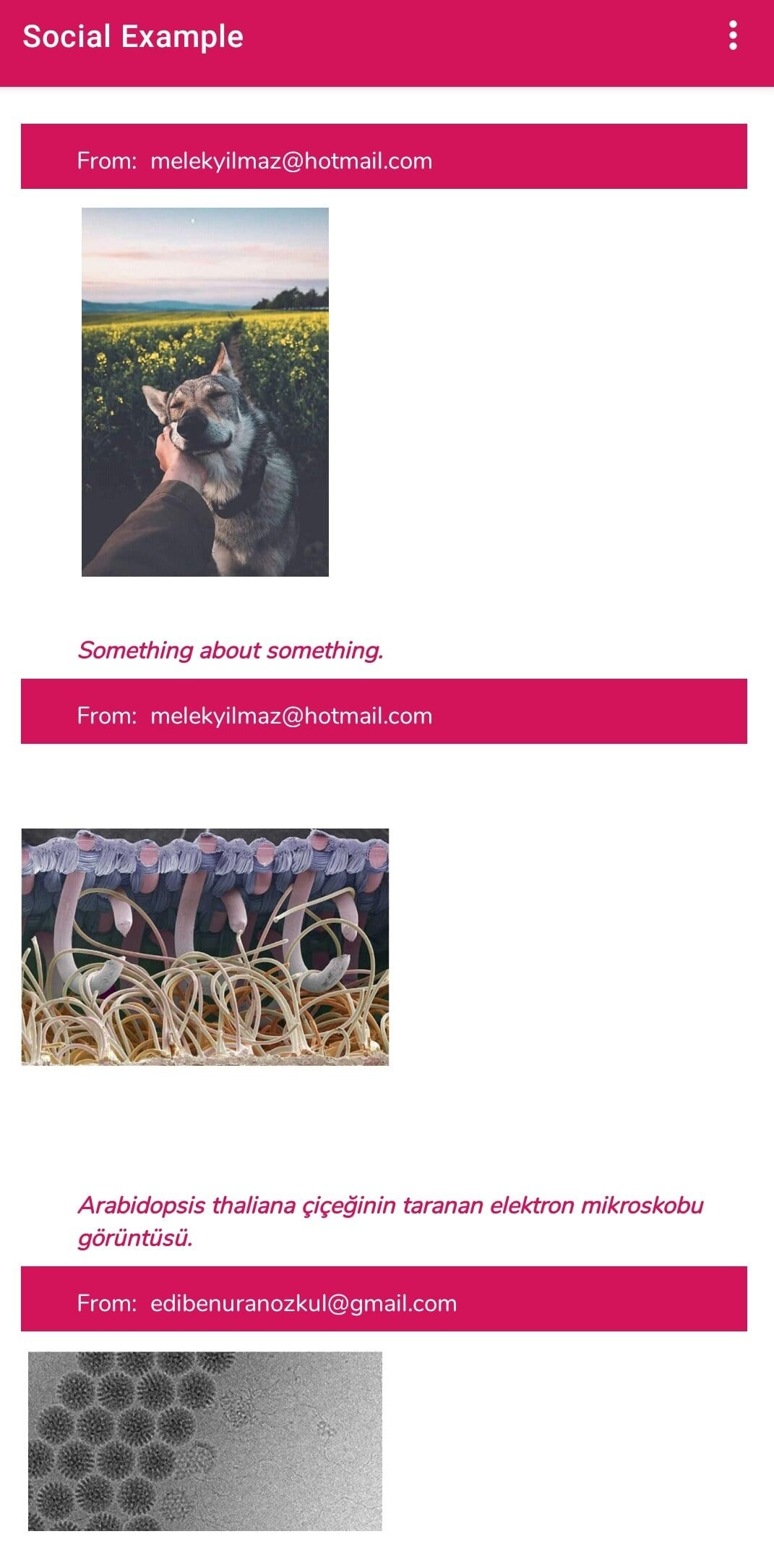 GitHub - edibeozkul/social-example: This is an example of a simple ...