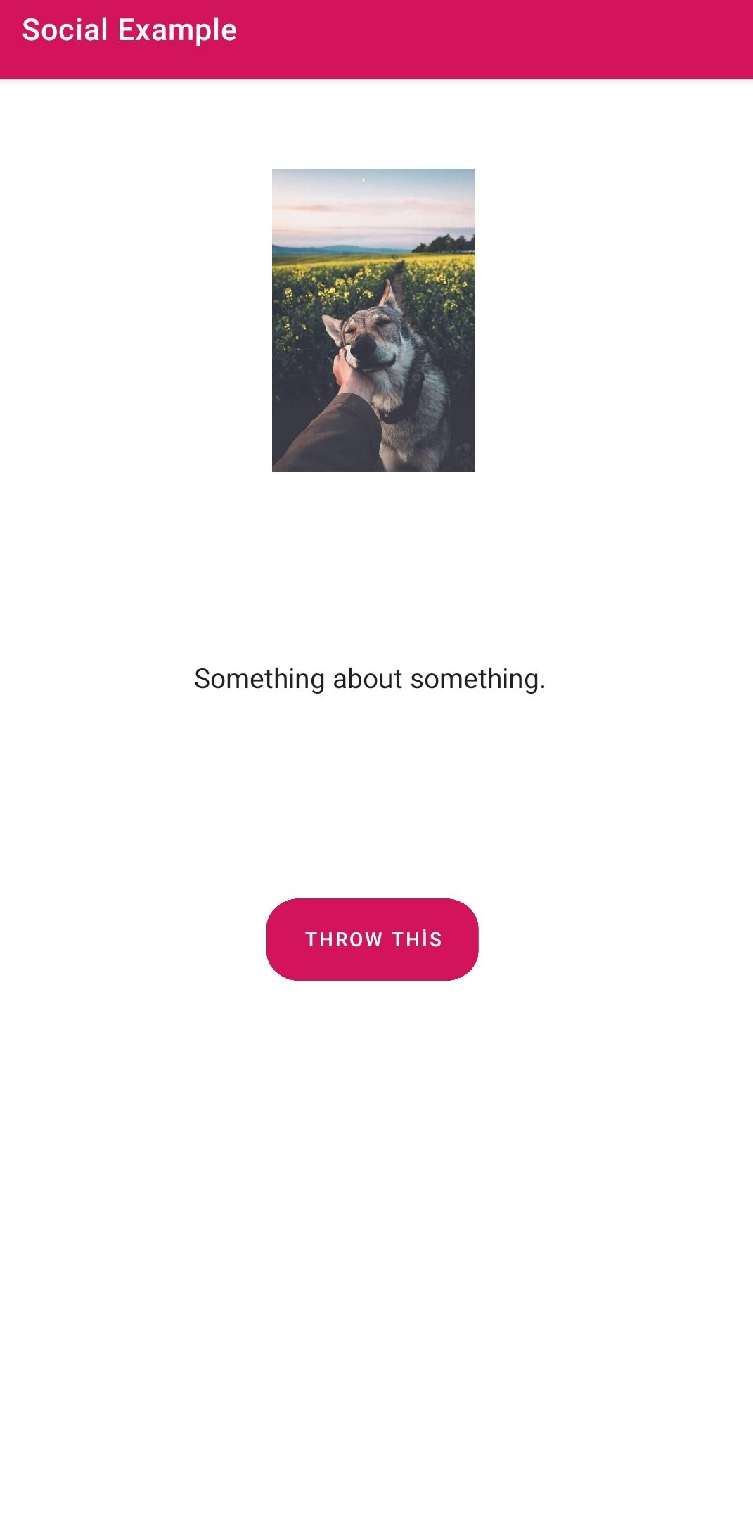 GitHub - edibeozkul/social-example: This is an example of a simple ...