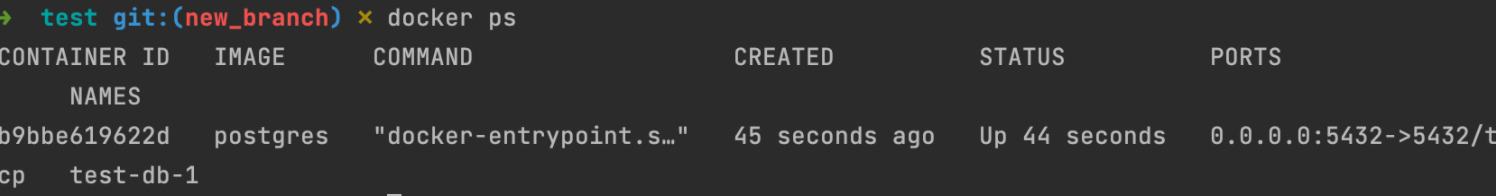 docker ps