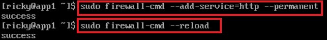 app server apache step 3 without https