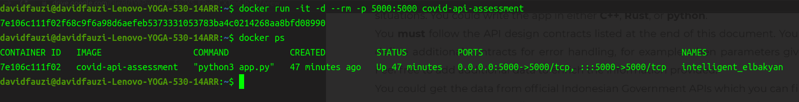 dockerrun